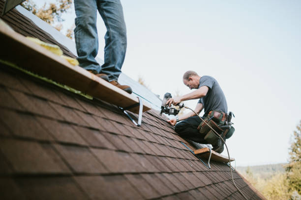 Best Residential Roofing Contractor  in Lovington, IL